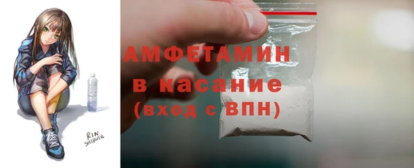 тгк Ельня