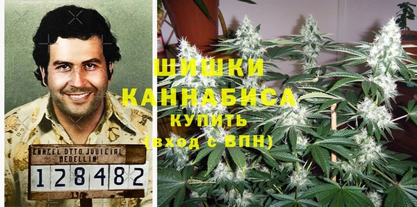 тгк Ельня