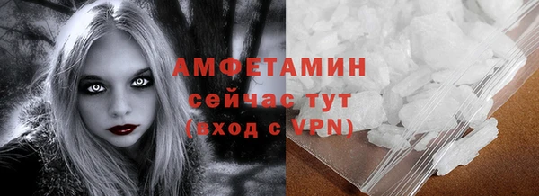 тгк Ельня